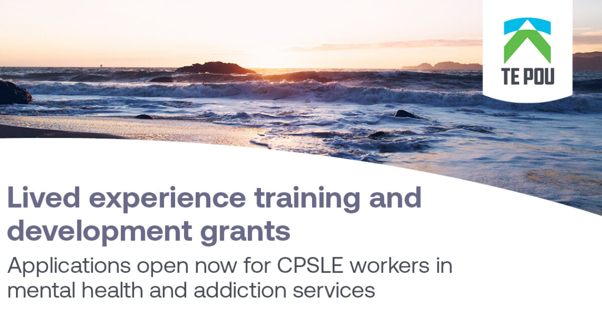 Consumer, Peer Support and Lived Experience (CPSLE) Training… Te Pou