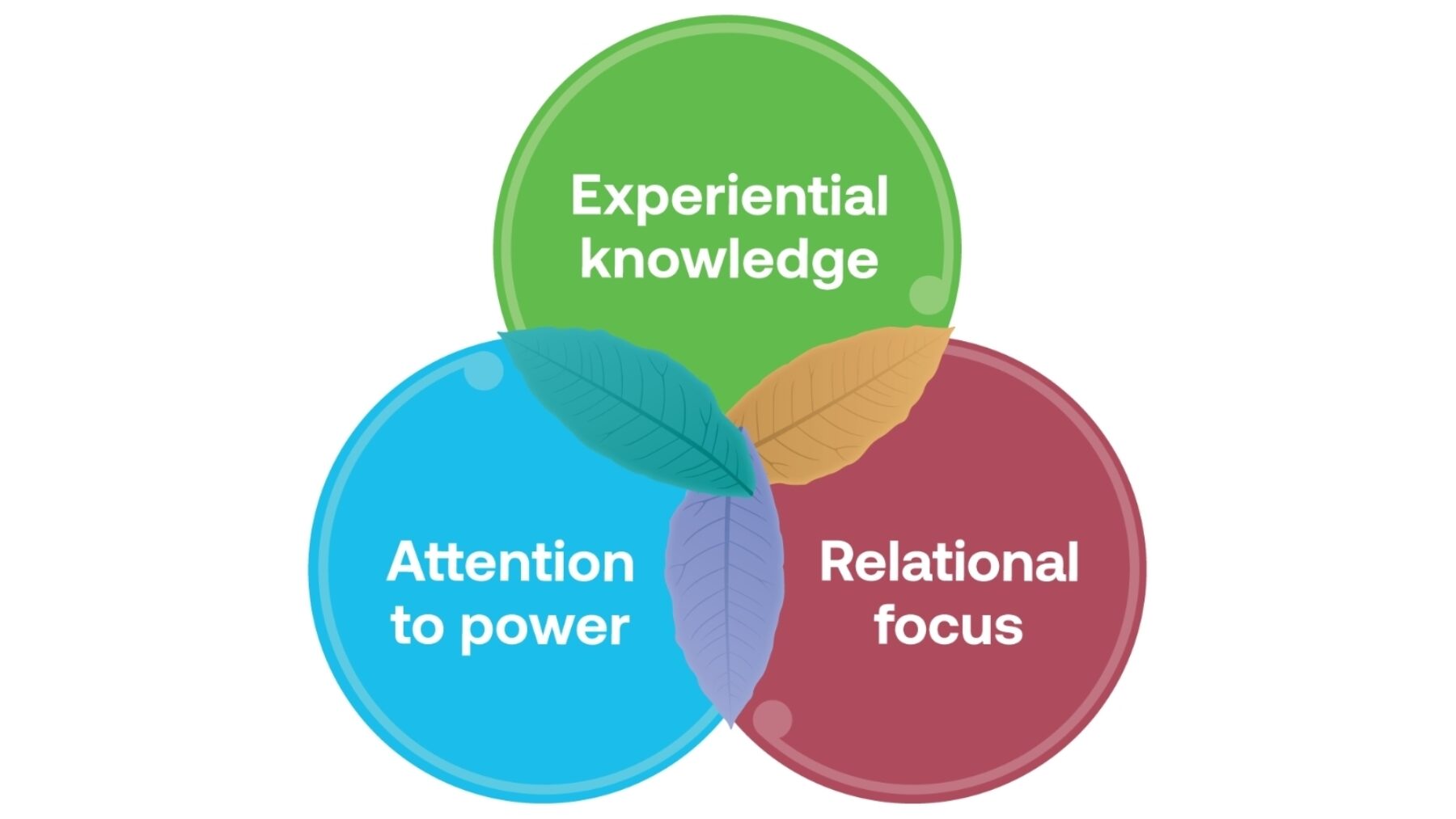Three interconnected circles labeled: Experiential knowledge, Attention to power, and Relational focus
